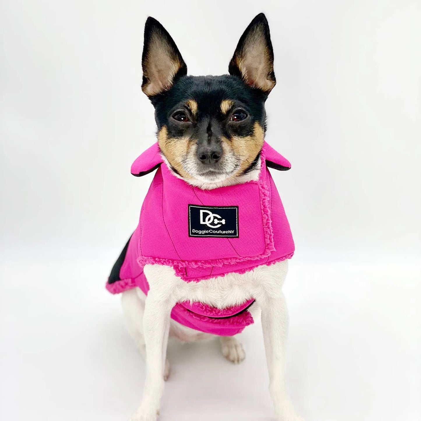 DoggieCoutureNY Water Resistant Coat