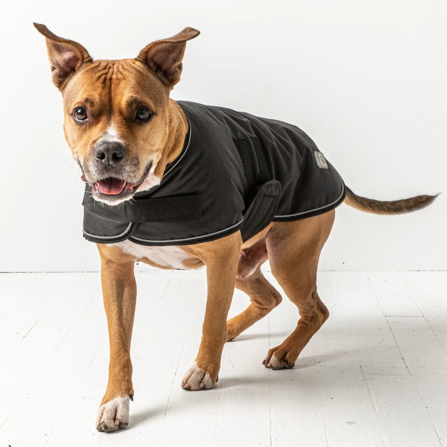 GF Pet Dog Blanket Jacket