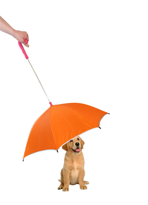 Pour-Protection Umbrella With Reflective Lining And Leash Holder