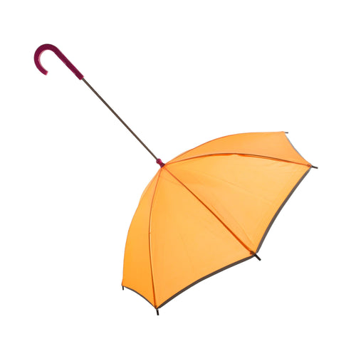 Pour-Protection Umbrella With Reflective Lining And Leash Holder