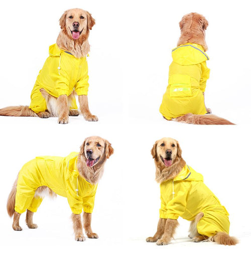 Golden hair raincoat dog Samoye medium-sized large dog border dog raincoat full package four foot pet big dog clothes